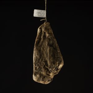 Guanciale